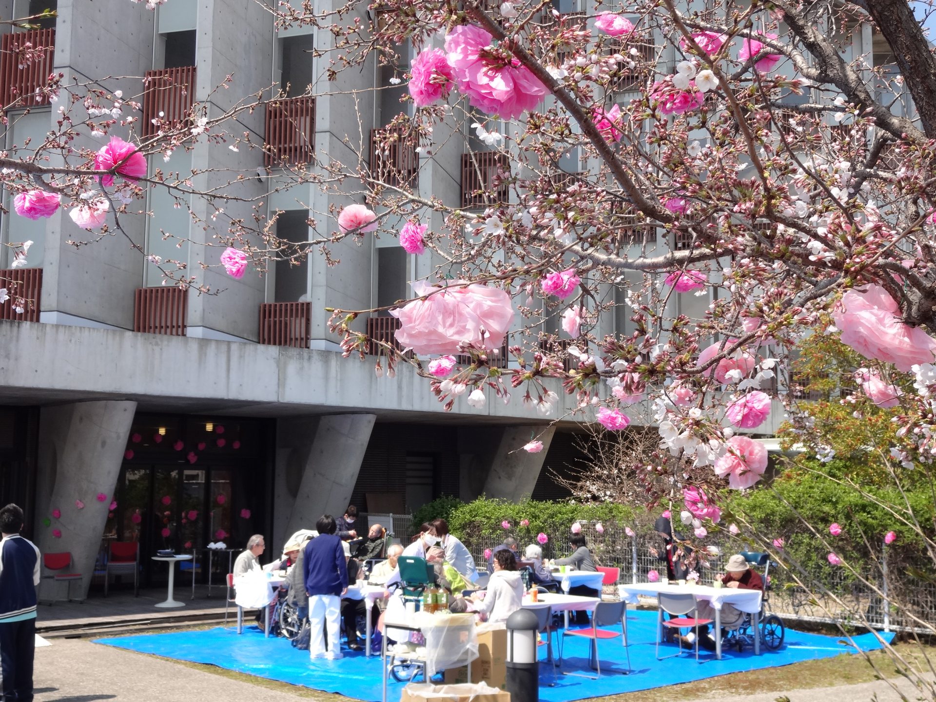 平成31年　お花見会