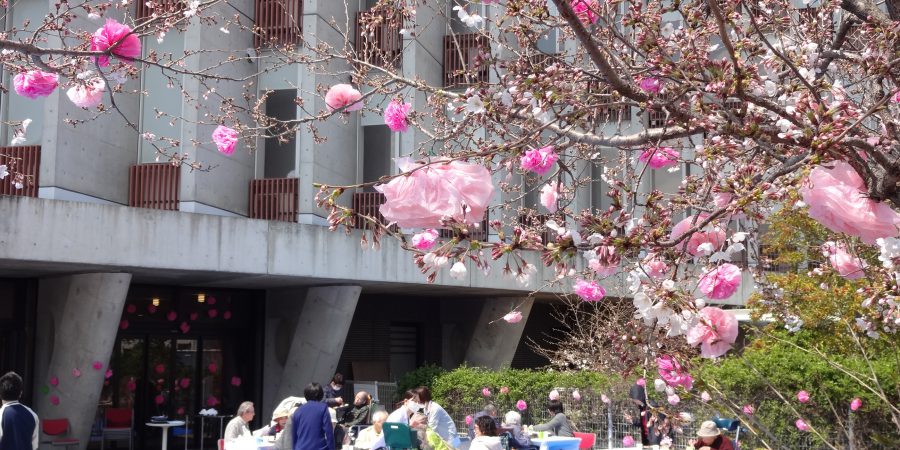 平成31年　お花見会